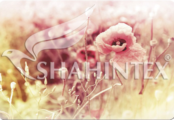 Универсальный коврик SHAHINTEX SPRING PHOTOPRINT SH P124 100*145