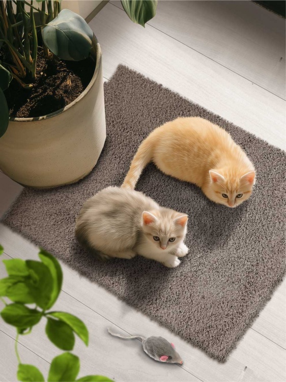 Коврик НАНОХЛОПОК SHAHINTEX 40х60 кофе с молоком 06 - 2